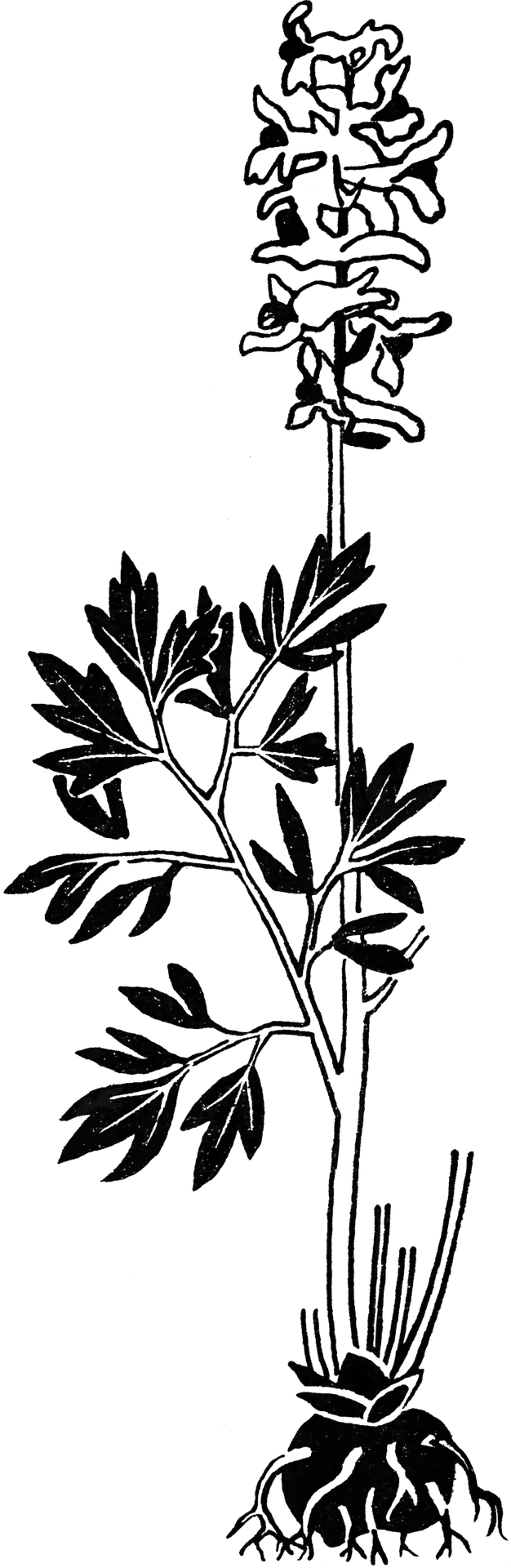 18-V.2-scaled.png